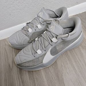 Nike Giannis Freak 5 (Team) DZ2946-002, Wolf Grey and White Basketball Shoes